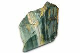 Freestanding Gary Green Jasper (Larsonite) Bog Wood - Oregon #377944-2